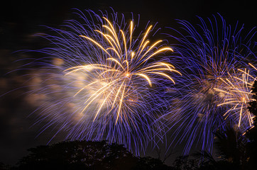 Fogos de artifício