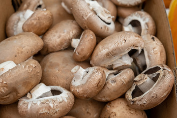 fresh portobello champignons for sale at city farmers market