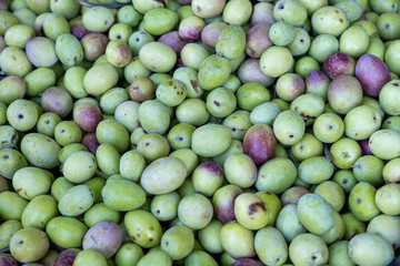 The new harvest green olives sold on farmers market