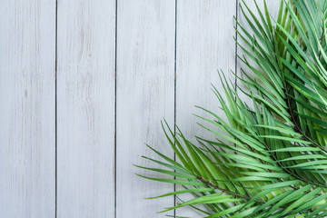 Huge palm leaves on a white wooden  table