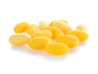 yellow cocoons on white background.