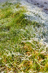 Grenze kalt warm Sonne Winter im Gras mit Schnee