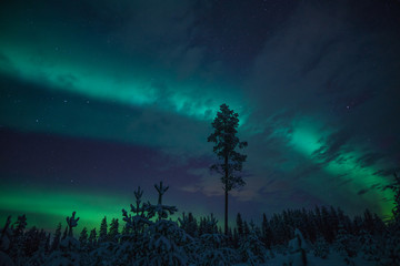 Fototapeta na wymiar Northern Lights in Lapland