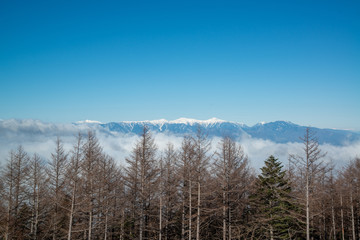冠雪した日本アルプスの全景と雲海