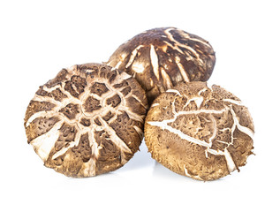 shiitake isolated on white background