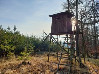 old house in the forest