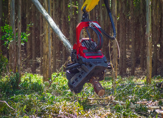 Logging Equipment Harvester