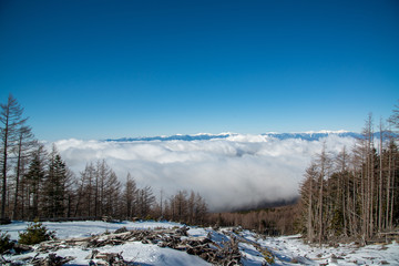冠雪した日本アルプスの全景と雲海
