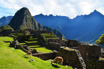 World Wonder © Kaja