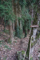 Sagenweg im Schwarzwald