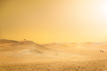 Fototapeta na wymiar Sahara desert in Cairo