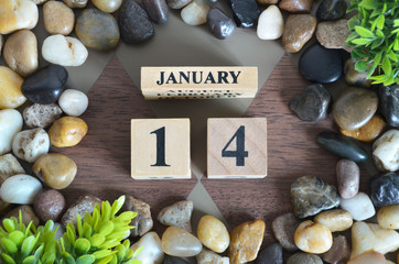 January 14, Number cube design in natural concept.	