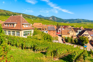Fototapeta na wymiar View of famous Hunawihr village with vineyards in foreground, Alsace wine route, France