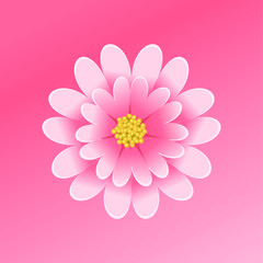 flower on a pink background