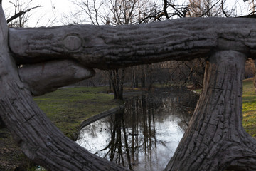 Nature day in National Romanescu Parc Craiova