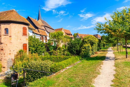 Path in park and view of beautiful traditional houses built from stones in Bergheim town, Alsace wine route, France