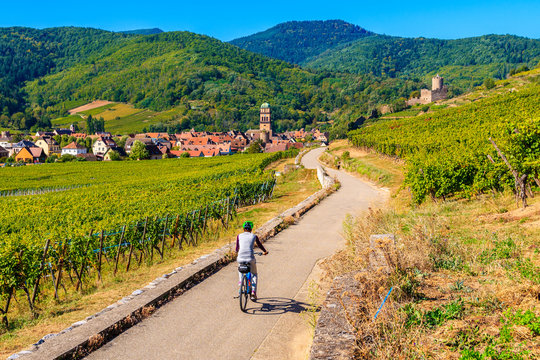 Young woman cycling on road along vineyards to Kaysersberg village, Alsace Wine Route, France