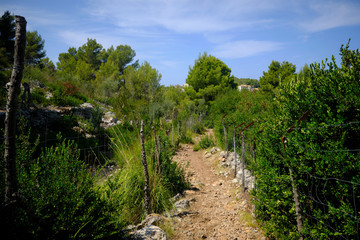 Fototapeta na wymiar Exploring the trails of Sóller and the Serra de Tramuntana in Mallorca.