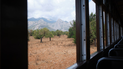 Fototapeta premium Historic train ride to Sóller, Mallorca. Passing through the orange groves. 