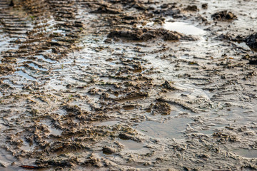 Soaked clay soil after a heavy rain shower. Tire tracks of heavy vehicles can be seen in the background. Here and there are small puddles of water. It is fall in the Netherlands.