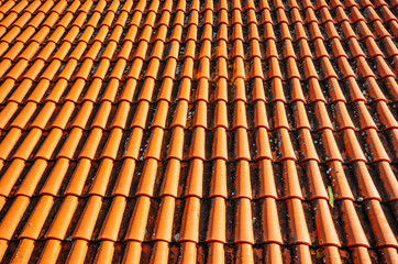 Obraz na płótnie Canvas Brightly lit red tiles roof for background