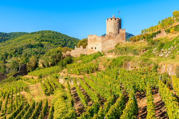 Fototapeta na wymiar Green vineyards and view of Kaysersberg medieval castle on Alsatian Wine Route, France