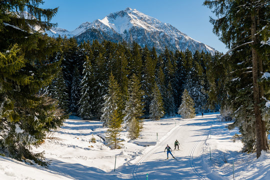 athletes and tourists enjoy healthy nordic skiing workout in the Swiss Alps in the Lenzerheide ski resort