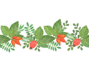 horizontal border of red rosehip berries with green leaves, hand drawn floral illustration