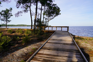 Fototapeta na wymiar Wooden path boards to the beach lake sea of Maubuisson Carcans France