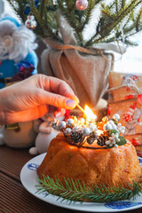 Christmas cake decorated with cones and twigs