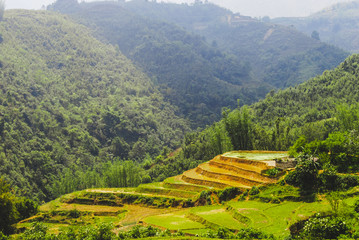 Scenery of valley with rice terraces surrounded with mountains of Sapa, Vietnam 