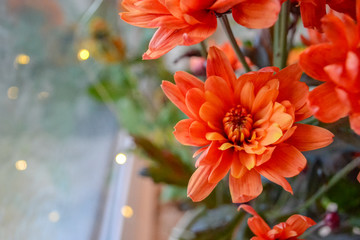 A bouquet of flowers, red as fire at home and a decoration of light. Flowers in a bouquet: Germini, Gerbera, Rose.