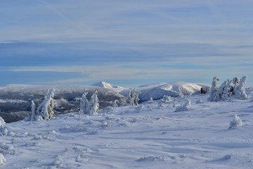 Krkonose mountains covered with snow, frozen trees. The highest peak Snezka in the background. Blue sky with white clouds. 