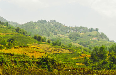 Scenery of beautiful nature around Sapa with rice terraces, Vietnam 