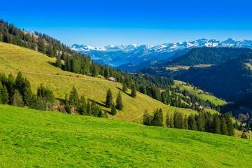 Beautiful swiss mountain in summer