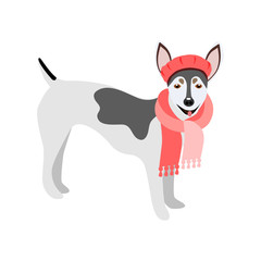 Cute dog fashion isolated pets on a white background.They can be used in the brochure, banners, ads.Vector illustration.