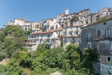 Fototapeta na wymiar buildings looming out of thick vegetation on western slope of old uphill village, Rivello, Italy