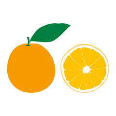 Vector illustration of orange. Half orange. Juicy citrus.