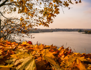 Ukrainian autumn in a variety of colors