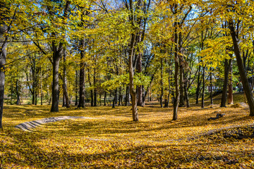 Ukrainian autumn in a variety of colors