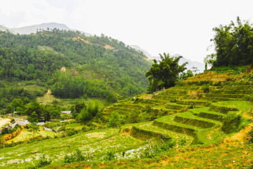 Fototapeta na wymiar Scenery of beautiful nature around Sapa with rice terraces, Vietnam 