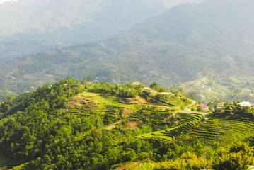 Fototapeta premium Scenery of Y Linh Ho valley with rice terraces surrounded with mountains by Sapa, Vietnam 