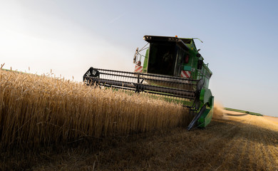 Harvester at work in summer sun