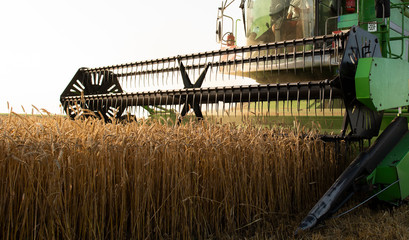 Harvester at work in summer sun