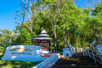 Fototapeta premium Wat Phra That Doi Tung, Chiang Rai, Thailand.