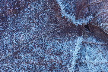 Frozen leaf with ice crystals, winter background
