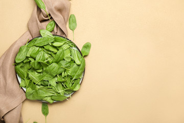 Plate with fresh spinach on color background