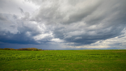 ein grünes Feld mit dramatischem Himmel