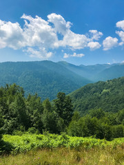Fototapeta na wymiar Landscape in the mountain range Vranica in the dinaric Alps in Bosnia and Herzegovina