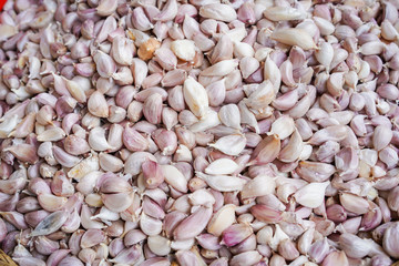 Fresh garlic bulbs in bracket close up, garlic surface texture background.